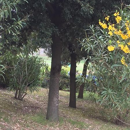 Appartamento Dell Agriturismo Pane E Olio تودي المظهر الخارجي الصورة