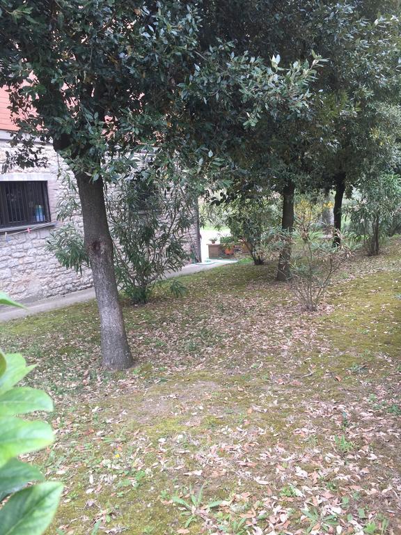Appartamento Dell Agriturismo Pane E Olio تودي المظهر الخارجي الصورة