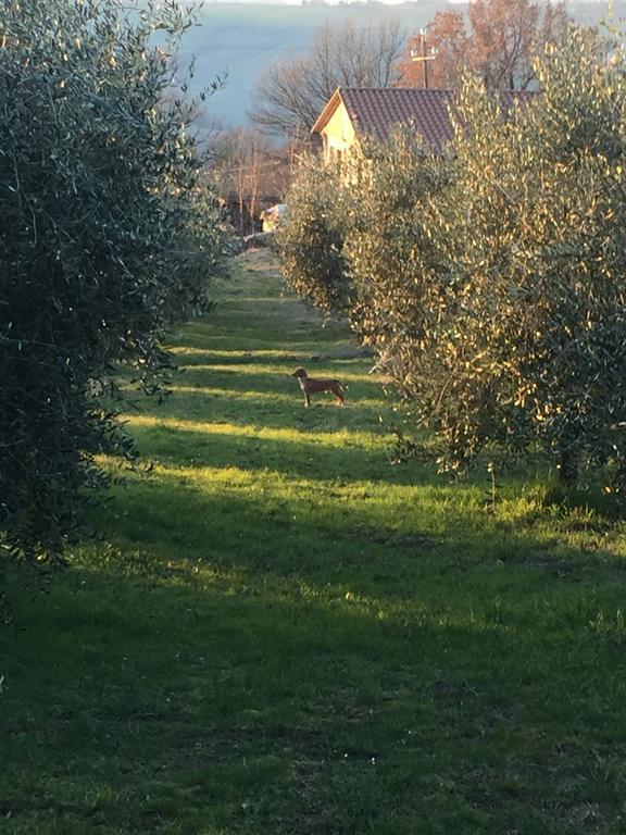 Appartamento Dell Agriturismo Pane E Olio تودي المظهر الخارجي الصورة