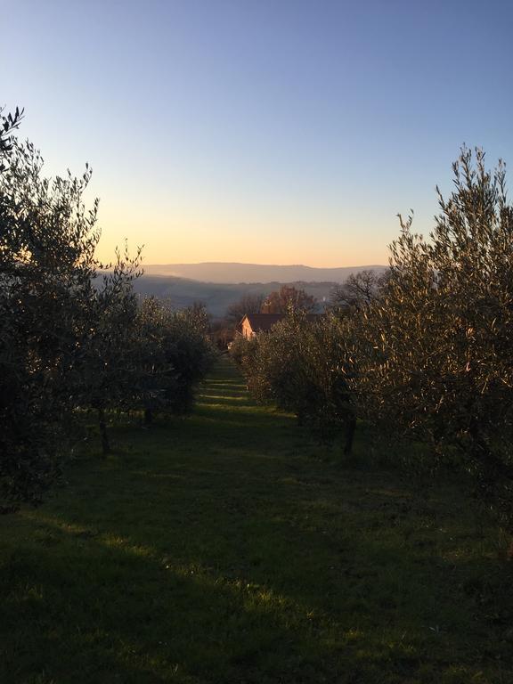 Appartamento Dell Agriturismo Pane E Olio تودي المظهر الخارجي الصورة